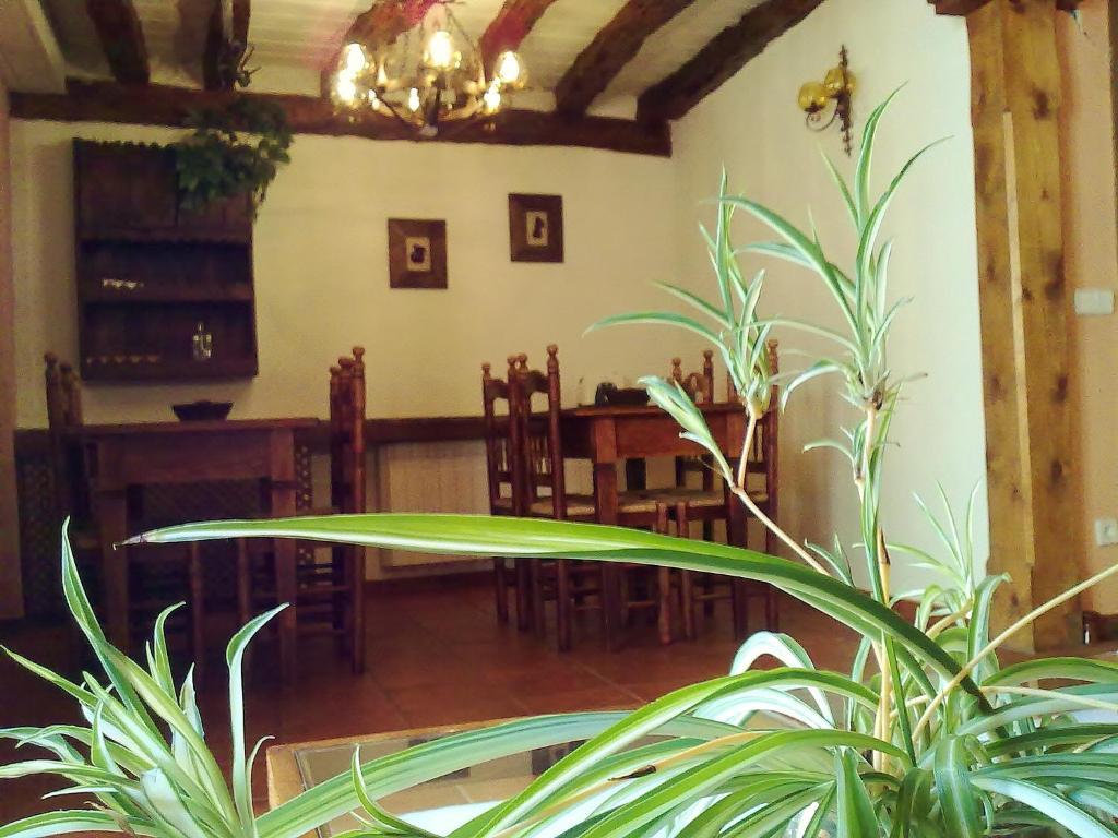 La Casa De La Abuela Petra Guest House Solarana Bagian luar foto